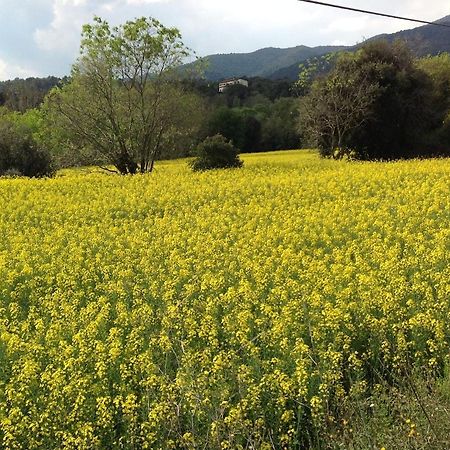 Casa Rural Can Panxa Sant Pere de Vilamajor Dış mekan fotoğraf