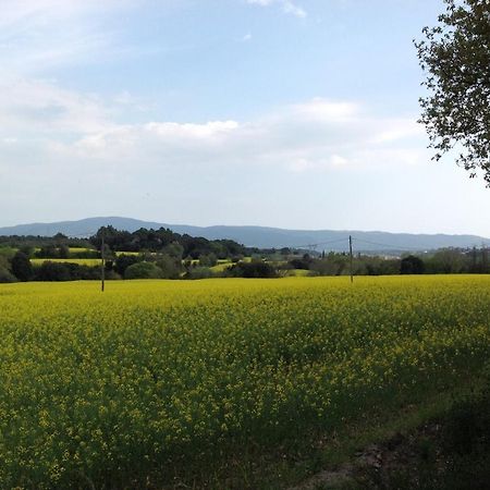 Casa Rural Can Panxa Sant Pere de Vilamajor Dış mekan fotoğraf