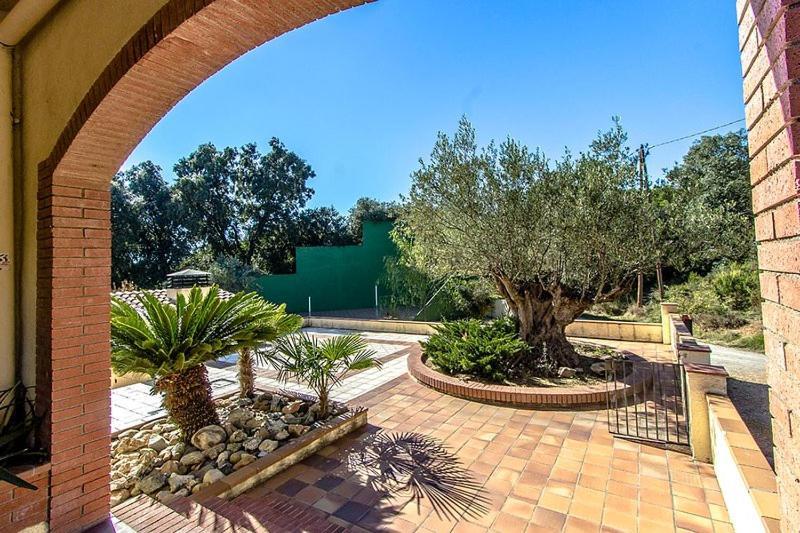Casa Rural Can Panxa Sant Pere de Vilamajor Dış mekan fotoğraf