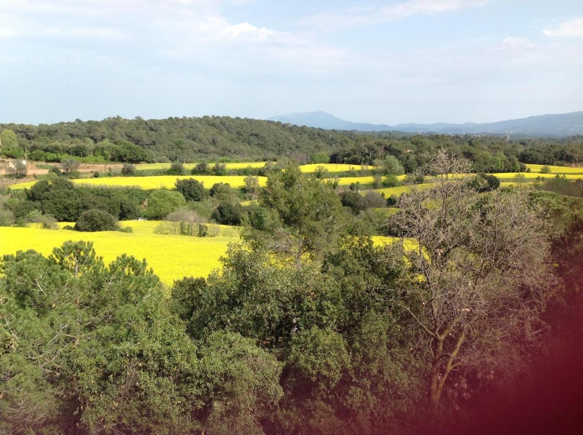 Casa Rural Can Panxa Sant Pere de Vilamajor Dış mekan fotoğraf